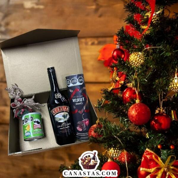 REGALO NAVIDEÑO LEON CORPORATIVO